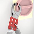 Lockout Hasps image